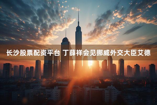 长沙股票配资平台 丁薛祥会见挪威外交大臣艾德