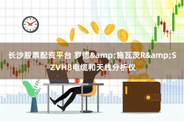 长沙股票配资平台 罗德&施瓦茨R&S ZVH8电缆和天线分析仪